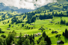 a lush green hillside with houses and trees on it