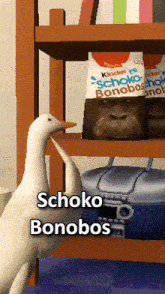 a duck is standing in front of a shelf that has schoko bonobos on it