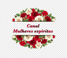 a bouquet of red and white roses with green leaves and the words canal mulheres espiritas