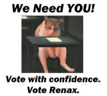 a cat sitting at a desk with the words we need you