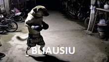 a dog is wearing boxing gloves and shorts with the word bliausiu on the bottom right