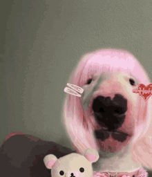 a dog wearing a pink wig is holding a stuffed animal