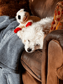 a white dog is laying on a couch with a stuffed animal