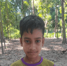 a young boy wearing a yellow and purple shirt stands in front of a forest