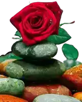 a stack of rocks with a red rose on top