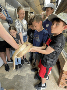 a boy wearing a shirt that says jurassic world holds a snake in his hand