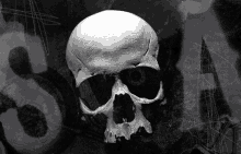 a black and white photo of a skull with the letter a in the corner