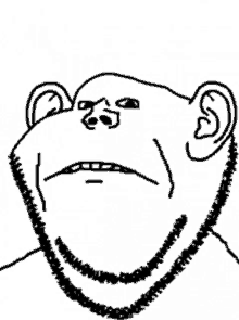 a black and white drawing of a monkey with a necklace around his neck