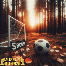 a soccer ball sits in front of a goal with a sign that says ' sbobet ' on it