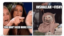 a woman is pointing at a cat wearing a hijab while another woman looks on .