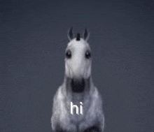 a white horse is standing in front of a black background and says hi .