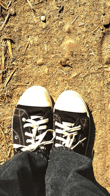 a pair of black sneakers with white laces are on a dirt ground