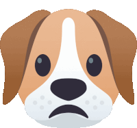 a brown and white dog with a sad face