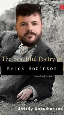 the beautiful poetry of knick robinson strictly unauthorized