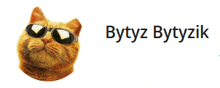 a cat wearing sunglasses with the name bytyz bytyzik written below it