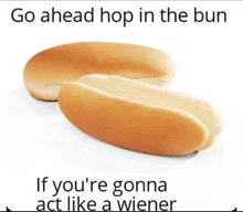 a hot dog bun with the words go ahead hop in the bun if you 're gonna act like a wiener on it