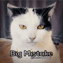 a black and white cat with the words big mistake written below it