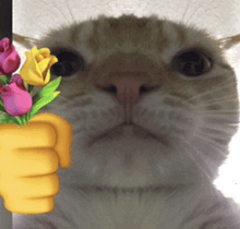 a cat is holding a bunch of flowers in its paw