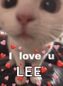 a close up of a cat 's face with hearts around it and the words " i love u lee "