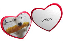 a heart shaped mirror shows a dog eating corn