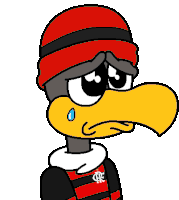 a cartoon bird wearing a red hat and a black and red shirt with the letter r on the front