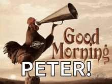 a rooster is holding a megaphone in its beak and saying good morning peter .