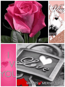 a picture of a pink rose a picture of a lock and a picture of the word love