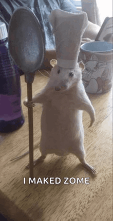 a stuffed rat wearing a chef 's hat is holding a large spoon