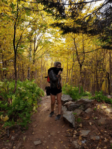 a woman wearing a mask stands in a forest