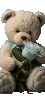 a teddy bear is holding a blue rose and has the letters abc on its back