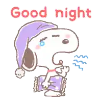 a cartoon of snoopy wearing a sleep cap and holding a pillow with the words good night written above him