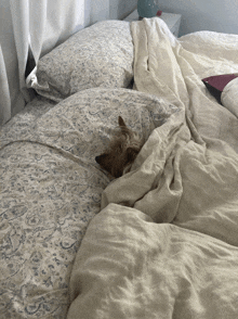 a dog is laying on a bed with a blue and white comforter