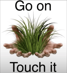 a sign that says go on touch it