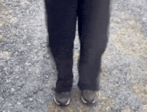 a person wearing black pants and brown shoes is standing on a gravel path
