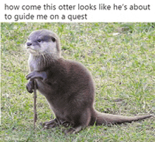 an otter with a cane is standing in the grass