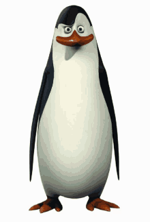 a cartoon penguin with a serious look on its face