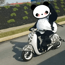 a panda bear is riding a scooter on a road