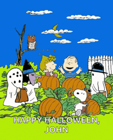 a cartoon of snoopy and friends in a field of pumpkins with the words happy halloween john below them