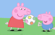 two pigs are playing with a soccer ball in a field .