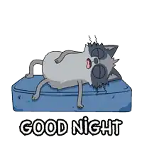 a cartoon cat laying on a blue mattress with the words " good night " below it