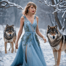 a woman in a blue dress walks in the snow with two wolves