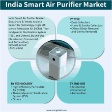 india smart air purifier market size share & trends analysis report by technology high-efficiency particulate air ( hepa )