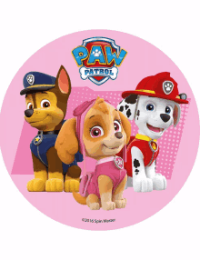 a paw patrol poster with chase skye and marshall on it