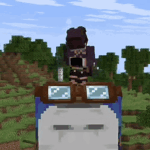 a person wearing goggles is standing on top of a block in a minecraft game .