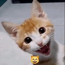 a close up of a cat with its mouth open and a smiley face on its face .