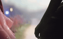 a close up of a person holding another person 's hand in front of a window .