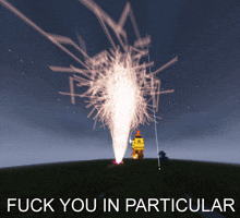 a fireworks display with the words fuck you in particular