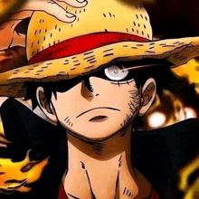 monkey d luffy is wearing a straw hat and sunglasses .