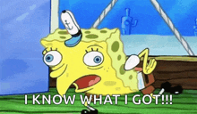 a cartoon of spongebob saying `` i know what i got ''