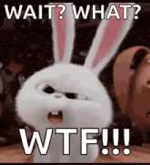 a cartoon rabbit with the words wait what wtf written on it